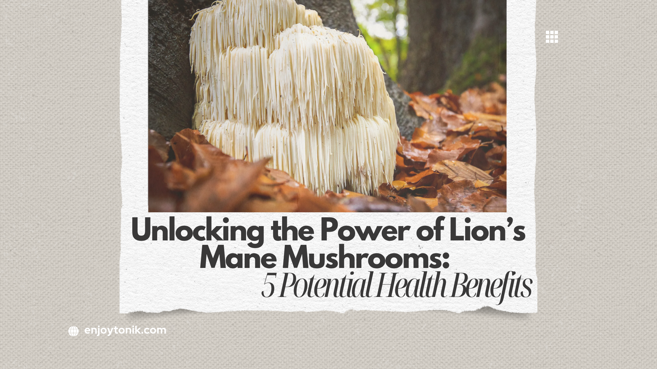 Unlocking the Power of Lion’s Mane Mushrooms: 5 Potential Health Benefits